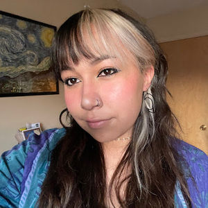 Meet your Posher, Carrera